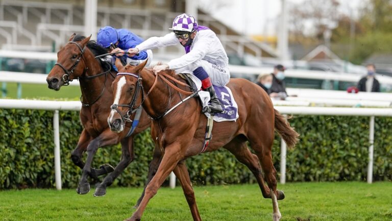 Mac Swiney set for Leopardstown trial Mac Swiney set for Leopardstown trial