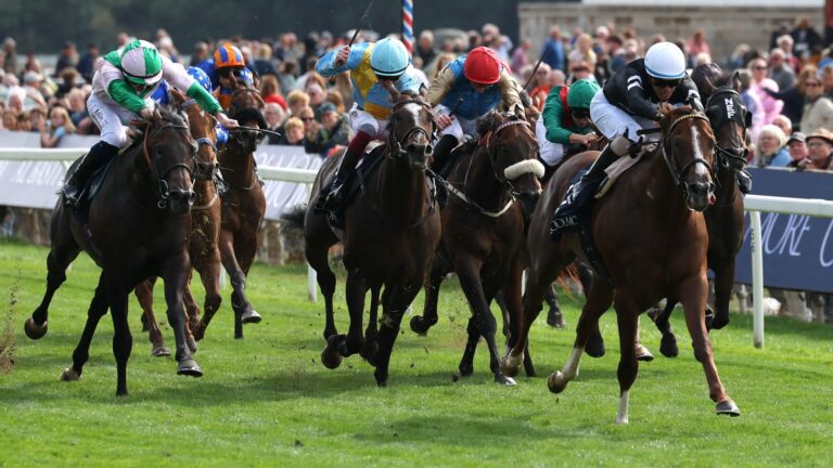 Bacio blazes a trail to win York’s Nunthorpe Stakes