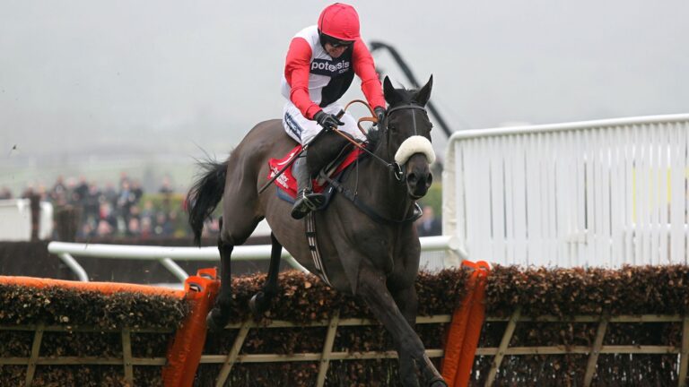 Nicholls pays tribute as Big Buck’s dies aged 23