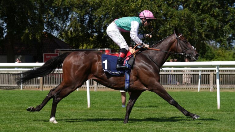 Blue Bolt confirms superiority over Precise at Deauville