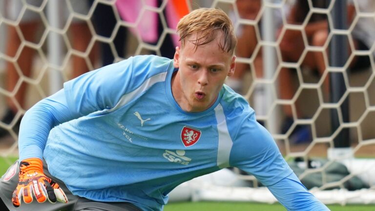 Newcastle sign goalkeeper Hornicek