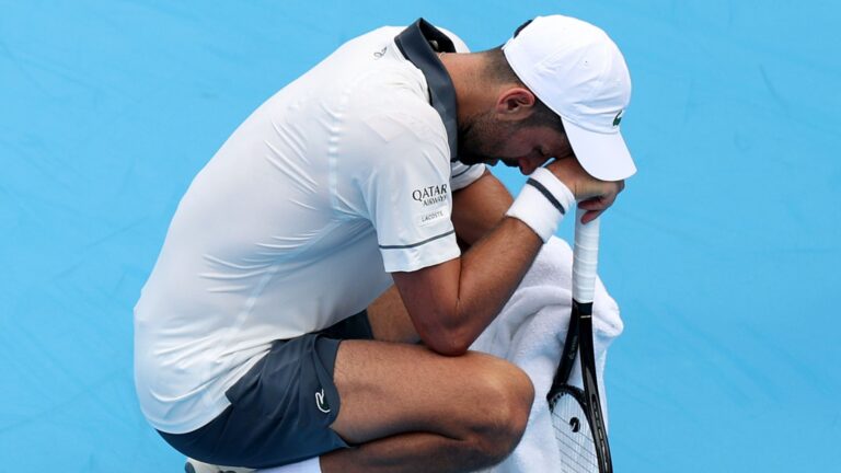 Djokovic struggles with heat in Cincinnati as Wimbledon hero Fery returns