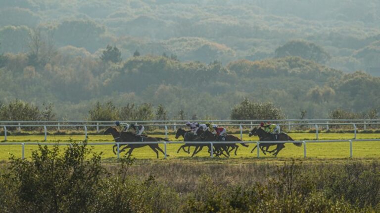 Withtearsinmyeyes chases first success at Ffos Las