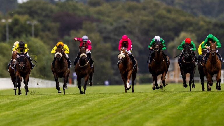 Today on Sky Sports Racing: Ascot stages Shergar Cup meeting
