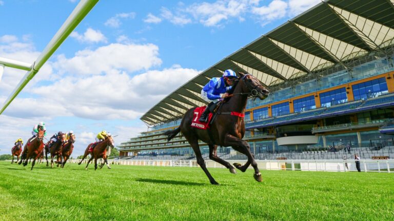 Heyzoom looks to bounce back to winning ways at Ascot