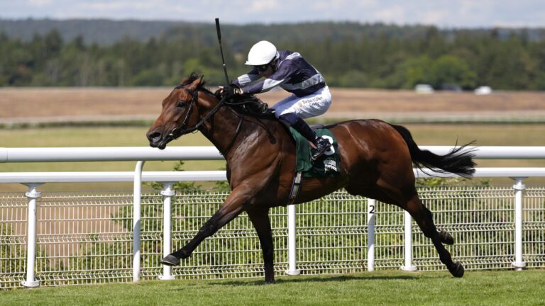 Enceladus takes on Christmas Day and Pienne Bonnard in 250th St Leger