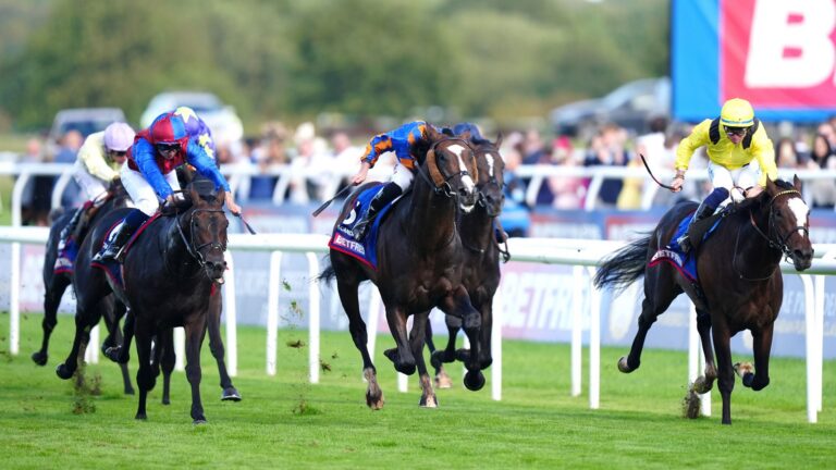 St Leger: Big race runners guide