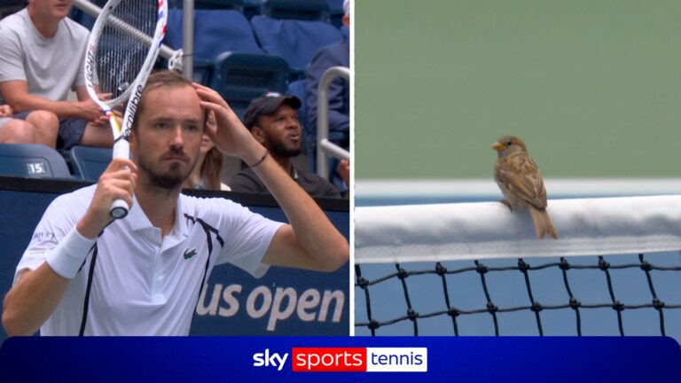 ‘This is very bad!’ | Medvedev fumes as birds halt play!